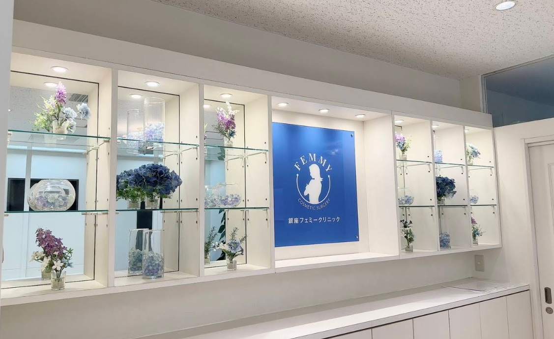 【月給34万円・正看護師】フェミークリニック銀座院|美容皮膚科の最前線